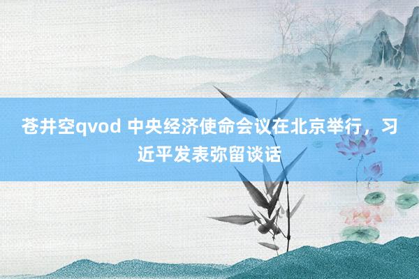 苍井空qvod 中央经济使命会议在北京举行，习近平发表弥留谈话