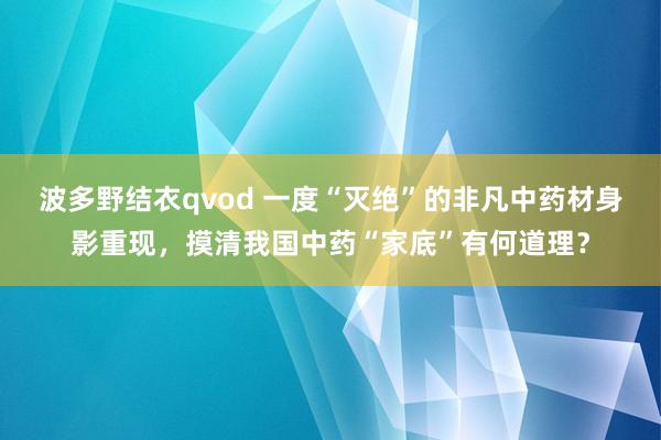 波多野结衣qvod 一度“灭绝”的非凡中药材身影重现，摸清我国中药“家底”有何道理？