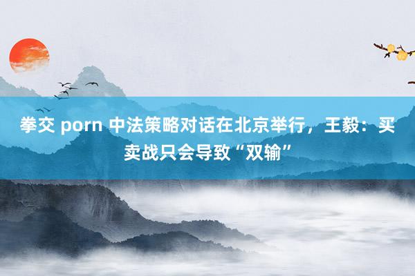 拳交 porn 中法策略对话在北京举行，王毅：买卖战只会导致“双输”