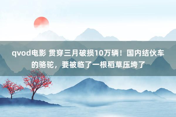 qvod电影 贯穿三月破损10万辆！国内结伙车的骆驼，要被临了一根稻草压垮了