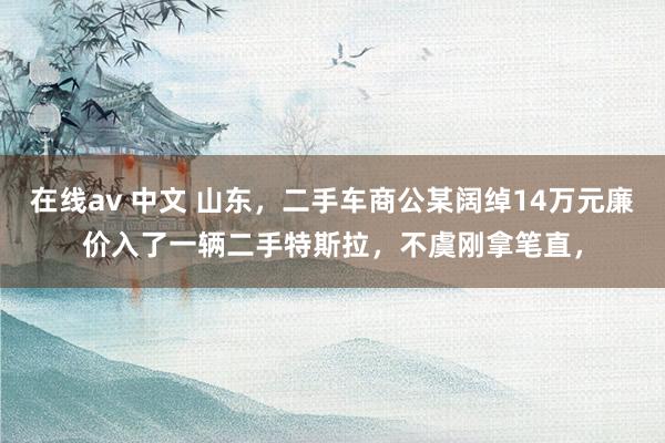 在线av 中文 山东，二手车商公某阔绰14万元廉价入了一辆二手特斯拉，不虞刚拿笔直，
