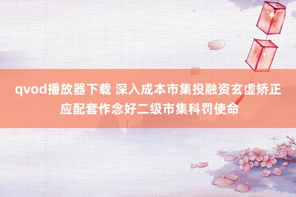 qvod播放器下载 深入成本市集投融资玄虚矫正 应配套作念好二级市集科罚使命