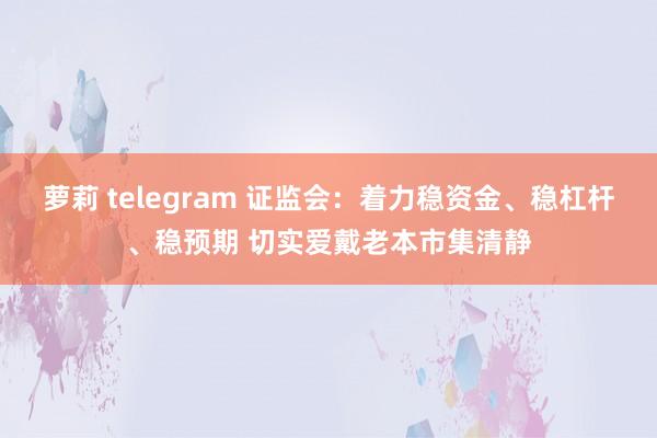 萝莉 telegram 证监会：着力稳资金、稳杠杆、稳预期 切实爱戴老本市集清静