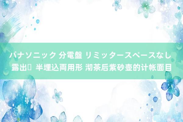 パナソニック 分電盤 リミッタースペースなし 露出・半埋込両用形 沏茶后紫砂壶的计帐面目