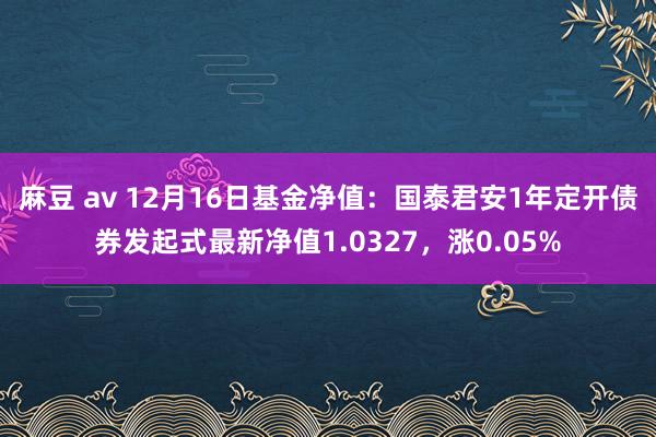 麻豆 av 12月16日基金净值：国泰君安1年定开债券发起式最新净值1.0327，涨0.05%