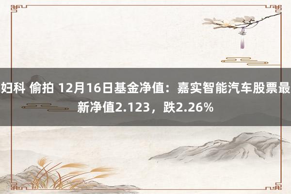 妇科 偷拍 12月16日基金净值：嘉实智能汽车股票最新净值2.123，跌2.26%