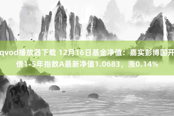 qvod播放器下载 12月16日基金净值：嘉实彭博国开债1-5年指数A最新净值1.0683，涨0.14%