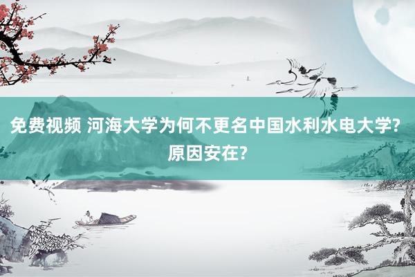 免费视频 河海大学为何不更名中国水利水电大学? 原因安在?
