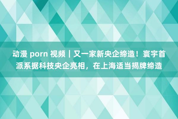 动漫 porn 视频｜又一家新央企缔造！寰宇首派系据科技央企亮相，在上海适当揭牌缔造