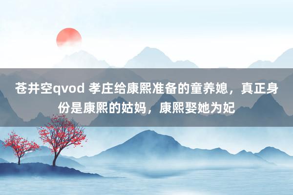 苍井空qvod 孝庄给康熙准备的童养媳，真正身份是康熙的姑妈，康熙娶她为妃