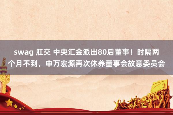 swag 肛交 中央汇金派出80后董事！时隔两个月不到，申万宏源再次休养董事会故意委员会