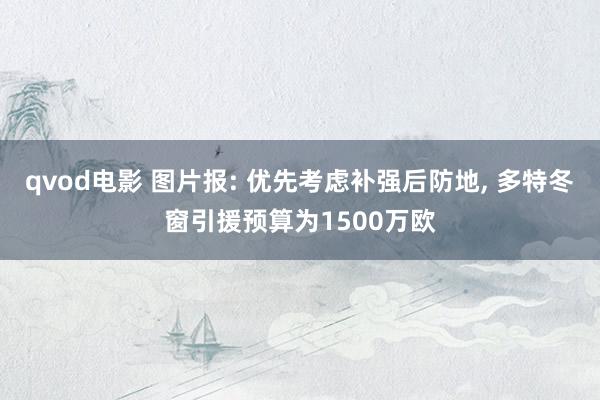 qvod电影 图片报: 优先考虑补强后防地， 多特冬窗引援预算为1500万欧