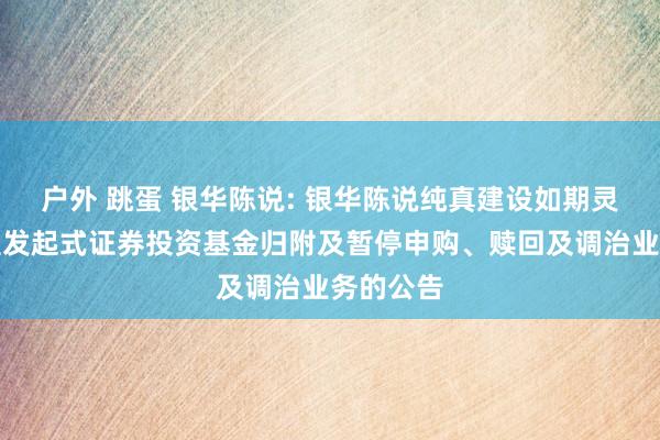 户外 跳蛋 银华陈说: 银华陈说纯真建设如期灵通搀杂型发起式证券投资基金归附及暂停申购、赎回及调治业务的公告