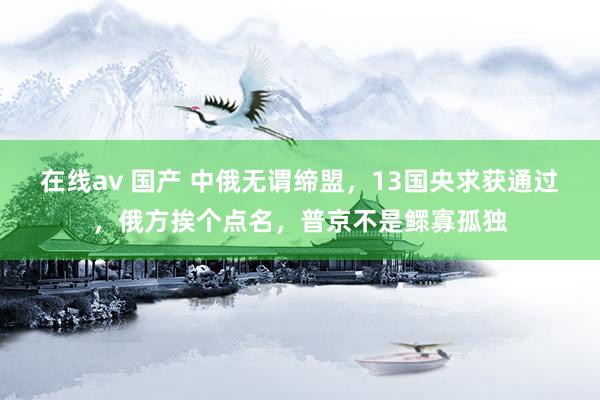 在线av 国产 中俄无谓缔盟，13国央求获通过，俄方挨个点名，普京不是鳏寡孤独