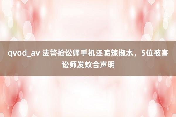 qvod_av 法警抢讼师手机还喷辣椒水，5位被害讼师发蚁合声明