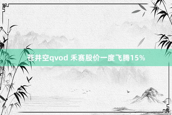 苍井空qvod 禾赛股价一度飞腾15%