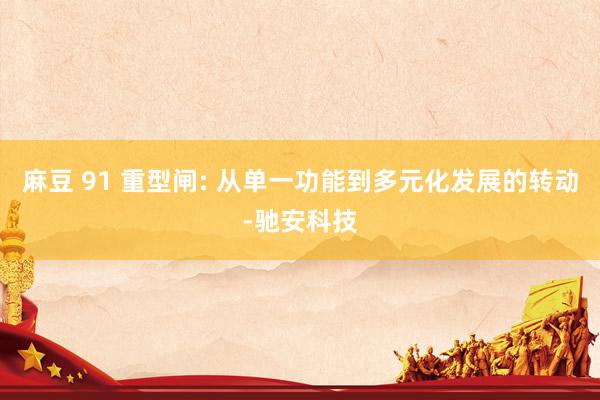 麻豆 91 重型闸: 从单一功能到多元化发展的转动-驰安科技