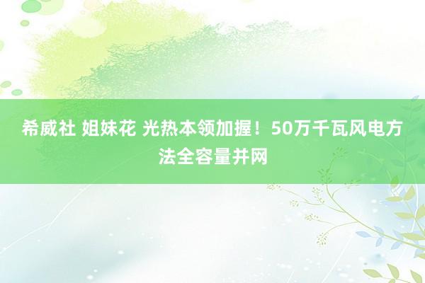 希威社 姐妹花 光热本领加握！50万千瓦风电方法全容量并网