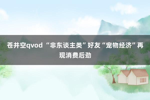 苍井空qvod “非东谈主类”好友“宠物经济”再现消费后劲