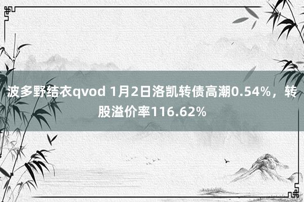 波多野结衣qvod 1月2日洛凯转债高潮0.54%，转股溢价率116.62%