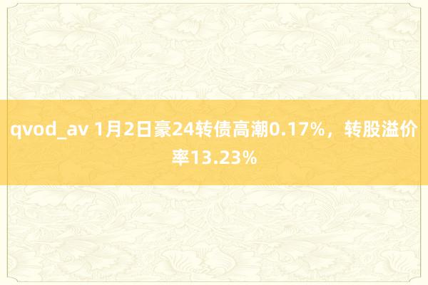 qvod_av 1月2日豪24转债高潮0.17%，转股溢价率13.23%