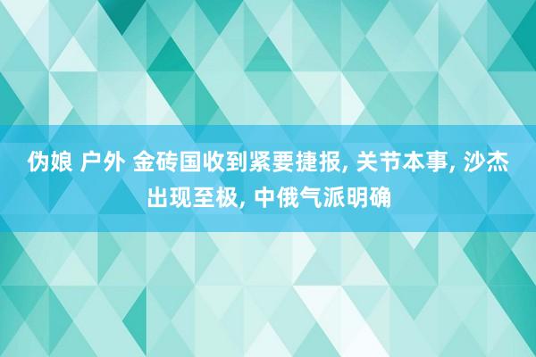 伪娘 户外 金砖国收到紧要捷报， 关节本事， 沙杰出现至极， 中俄气派明确