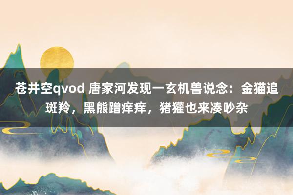 苍井空qvod 唐家河发现一玄机兽说念：金猫追斑羚，黑熊蹭痒痒，猪獾也来凑吵杂