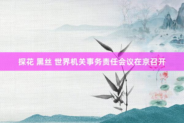 探花 黑丝 世界机关事务责任会议在京召开