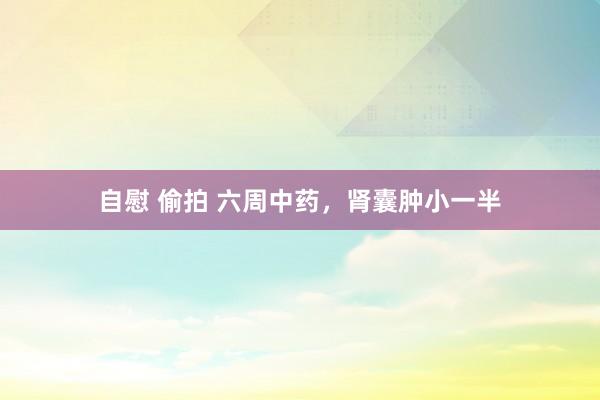 自慰 偷拍 六周中药，肾囊肿小一半