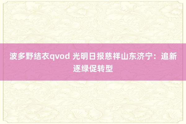 波多野结衣qvod 光明日报慈祥山东济宁：追新逐绿促转型