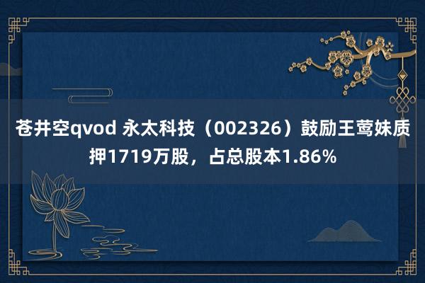 苍井空qvod 永太科技（002326）鼓励王莺妹质押1719万股，占总股本1.86%