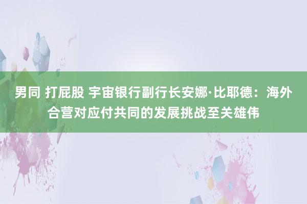 男同 打屁股 宇宙银行副行长安娜·比耶德：海外合营对应付共同的发展挑战至关雄伟